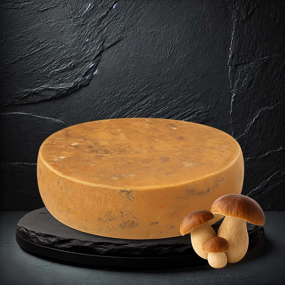 Tomme Forestière