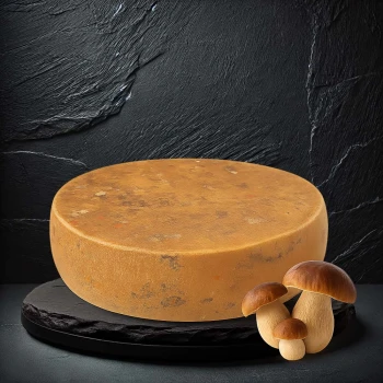 Tomme Forestière